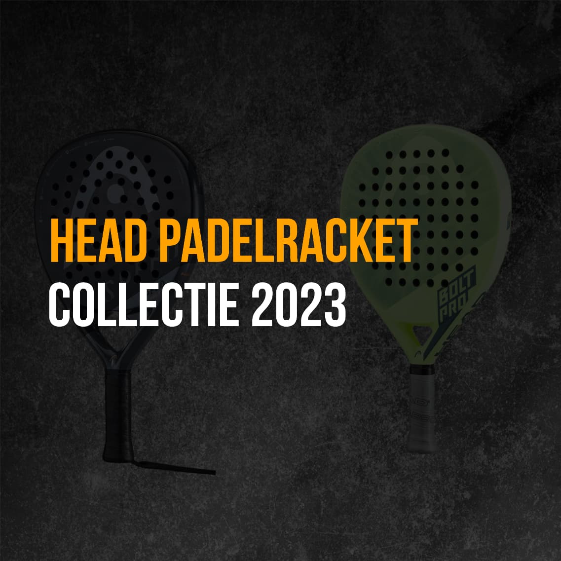 Head 2023 collectie